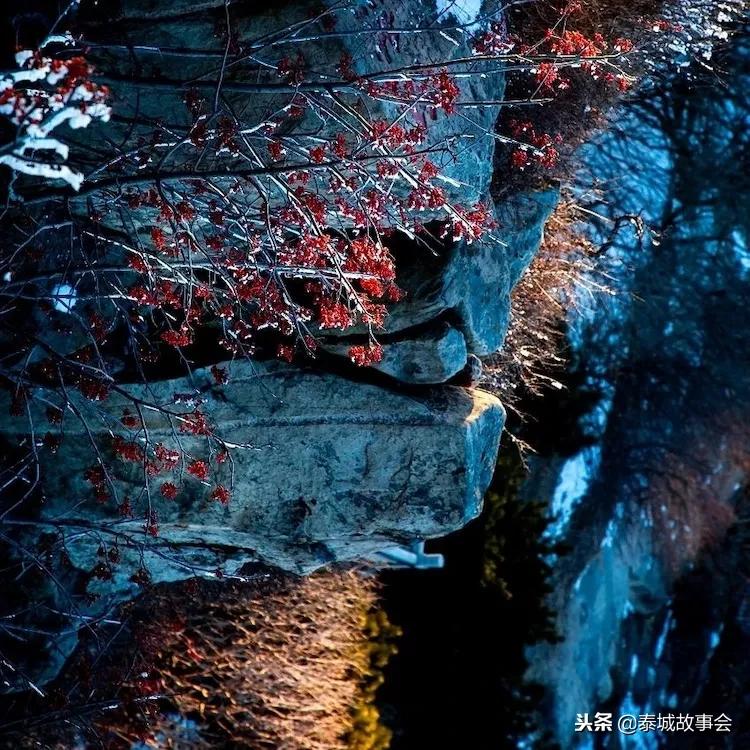 泰山美图100张,泰山云海美图