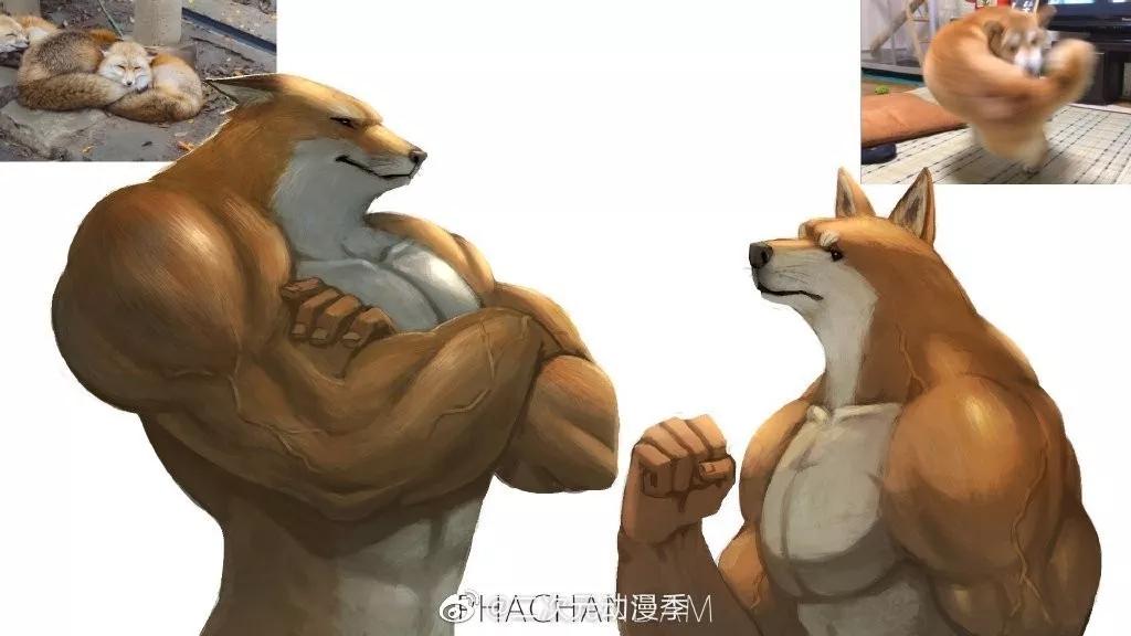 又一位肌肉*男猛**出现了，这个系列永不完结……