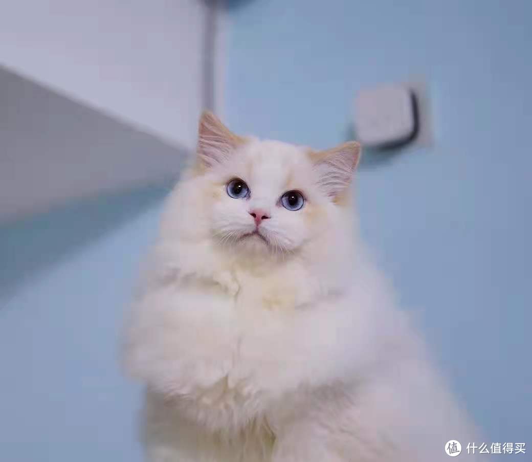 最强戒网瘾，长大上清华～通过路由软件限制上网时间保姆级教学