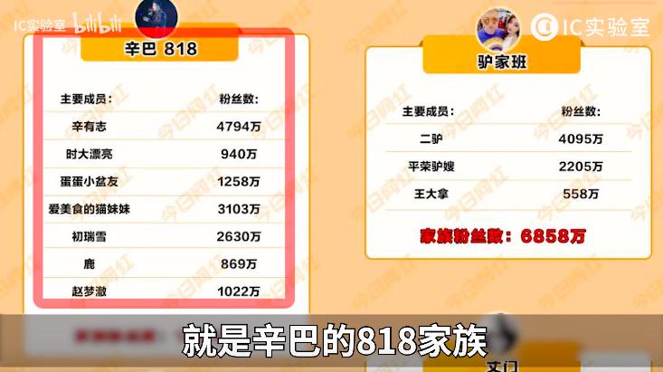 辛巴百亿电商帝国,快手主播辛巴的帝国