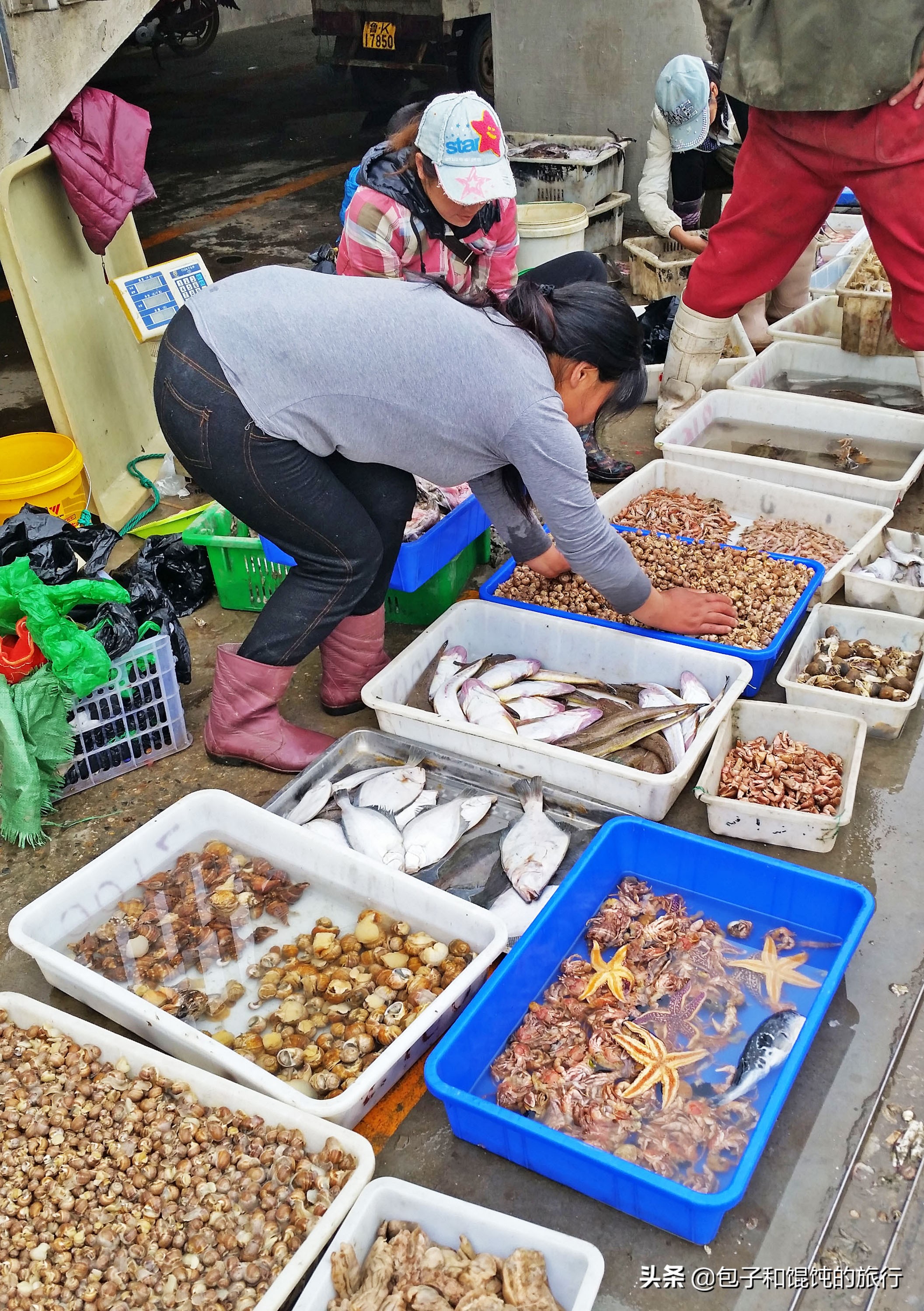 来威海外地人爱吃的海鲜,威海本地特色海鲜
