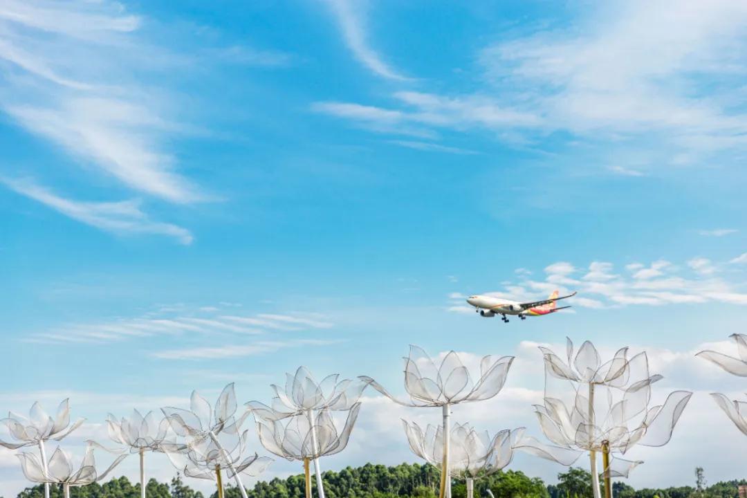 在空港花田里怎么拍照好看,每张都是屏保