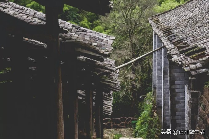 苍南小众山,浙南苍南县城