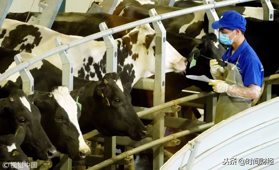 光明乳业伊利蒙牛,光明乳业和蒙牛伊利