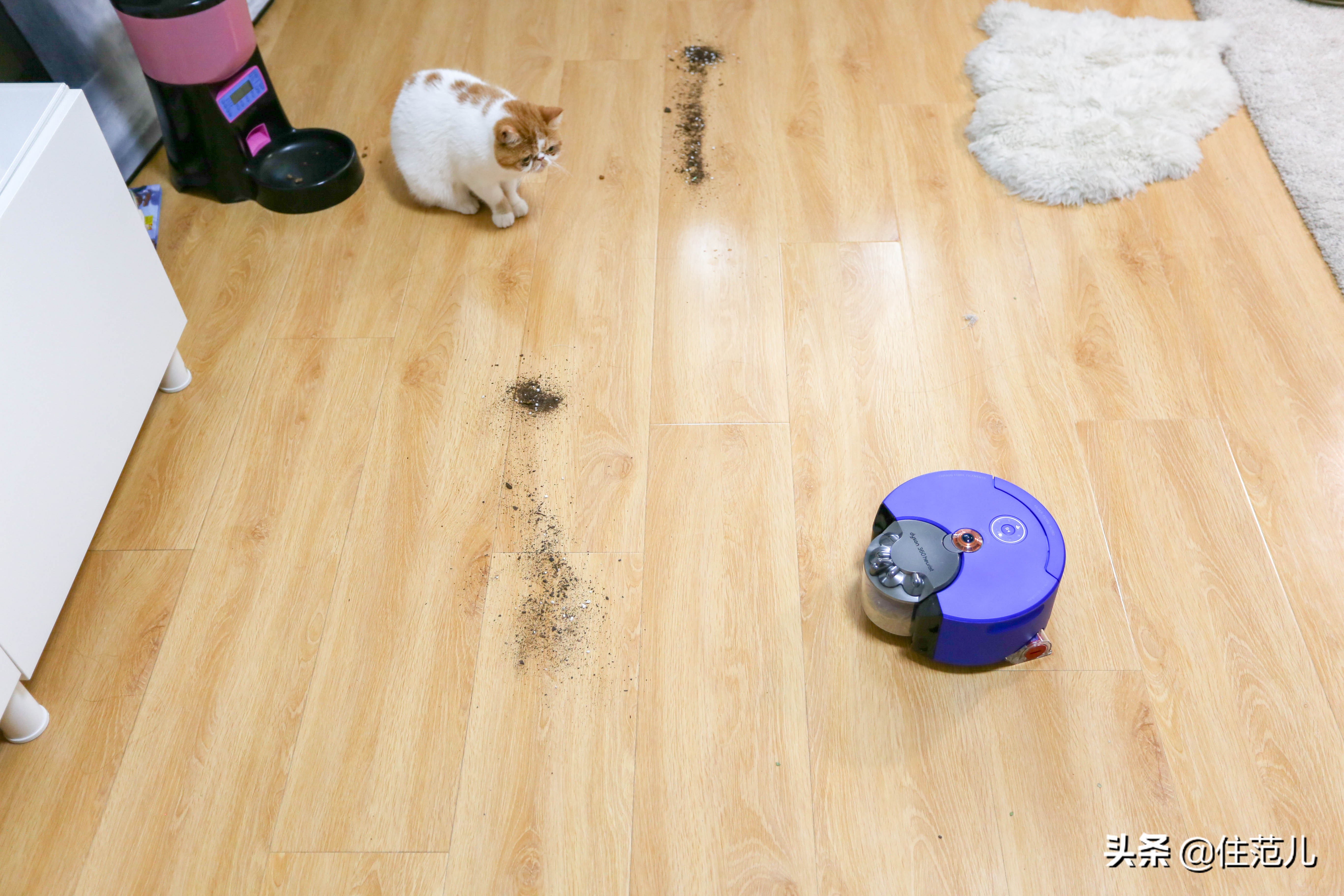 真假戴森的区别,网红戴森是真实用还是真鸡肋