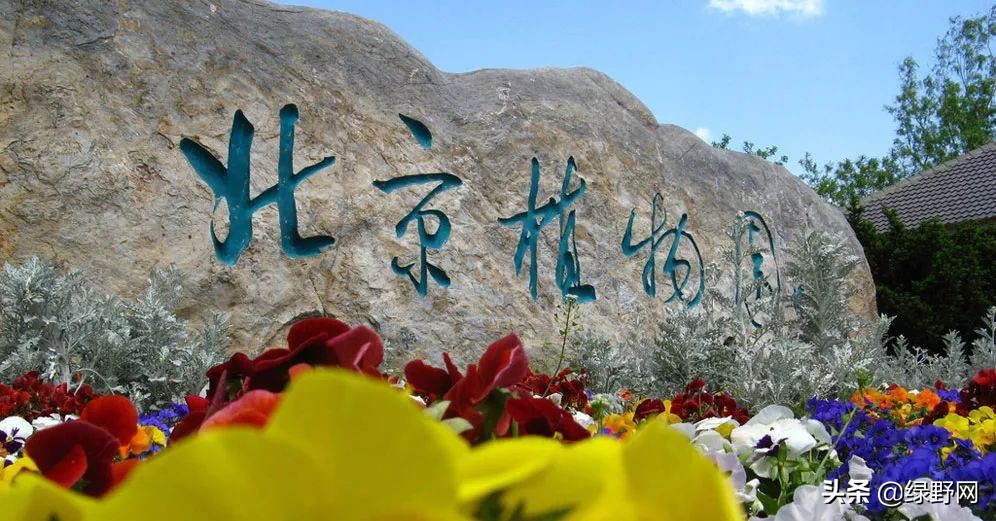 赏花好时节,赏花感言一句话