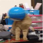 哆啦a梦道具现在有吗,哆啦a梦最好用的几个道具