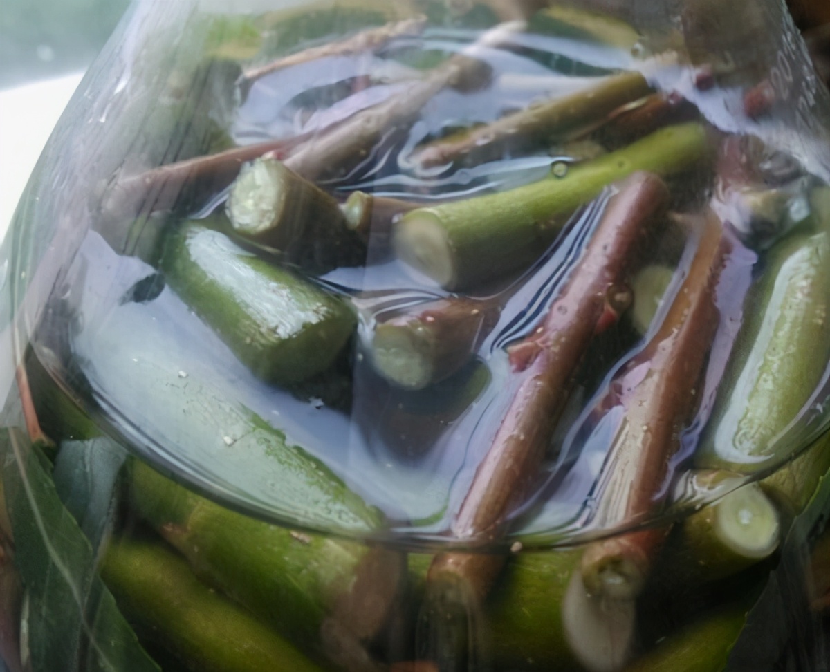 春天到了月季花咋还没开花,到了春天月季的枯叶不掉怎么办