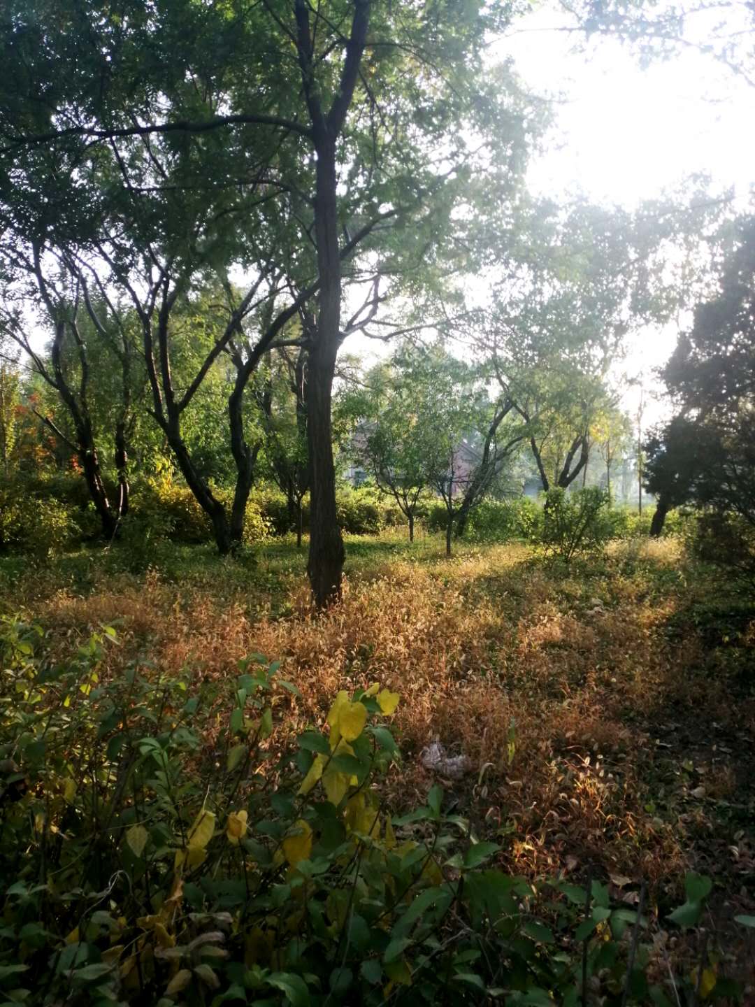 参观沈阳劳模纪念馆感想,参观沈阳历史博物馆的观后感