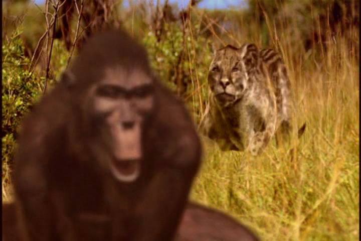 人类最致命的天敌,人类自相残杀的基因