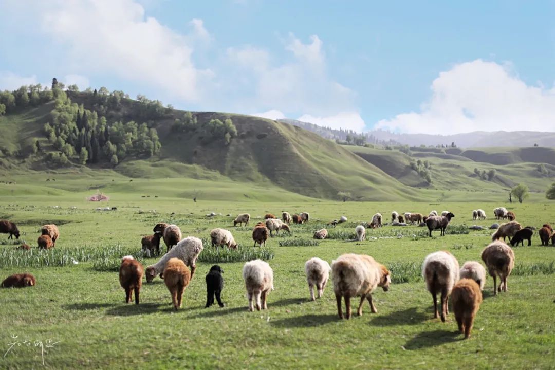 夏天去避暑穿什么,夏天要去哪里避暑