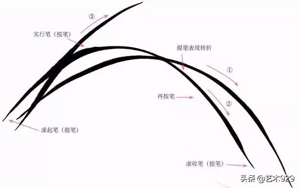 国画兰花的画法太棒了简单易学,泰国兰花绘画技法