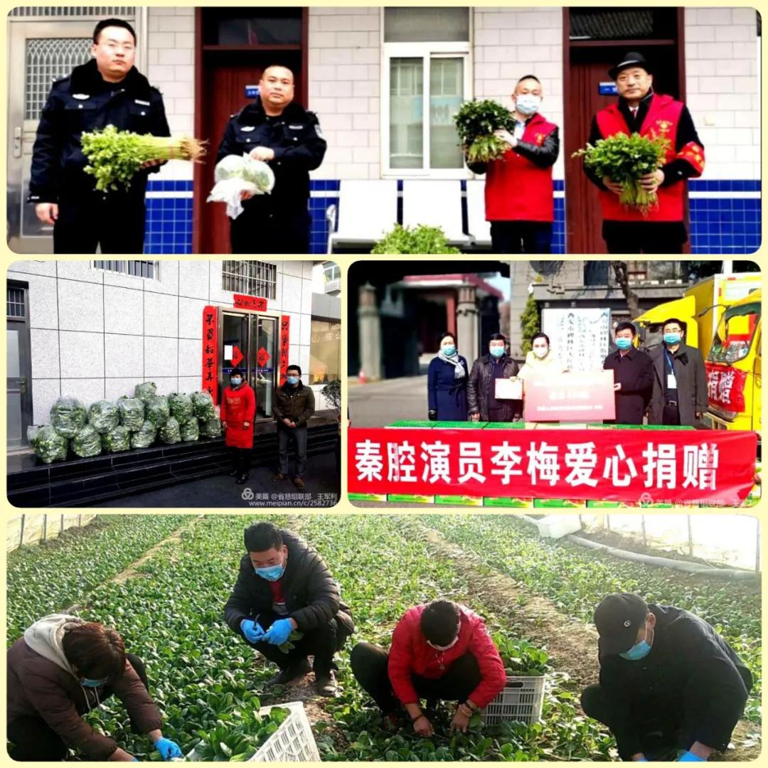 众志成城志愿者抗疫,抗击疫情爱心志愿者