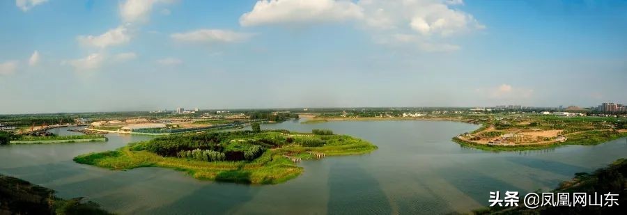 区县Feng观察|“一业活、百业兴”，“蒜都”金乡迎“蝶变”