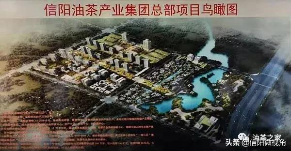 信阳油茶项目,信阳油茶产业有限公司