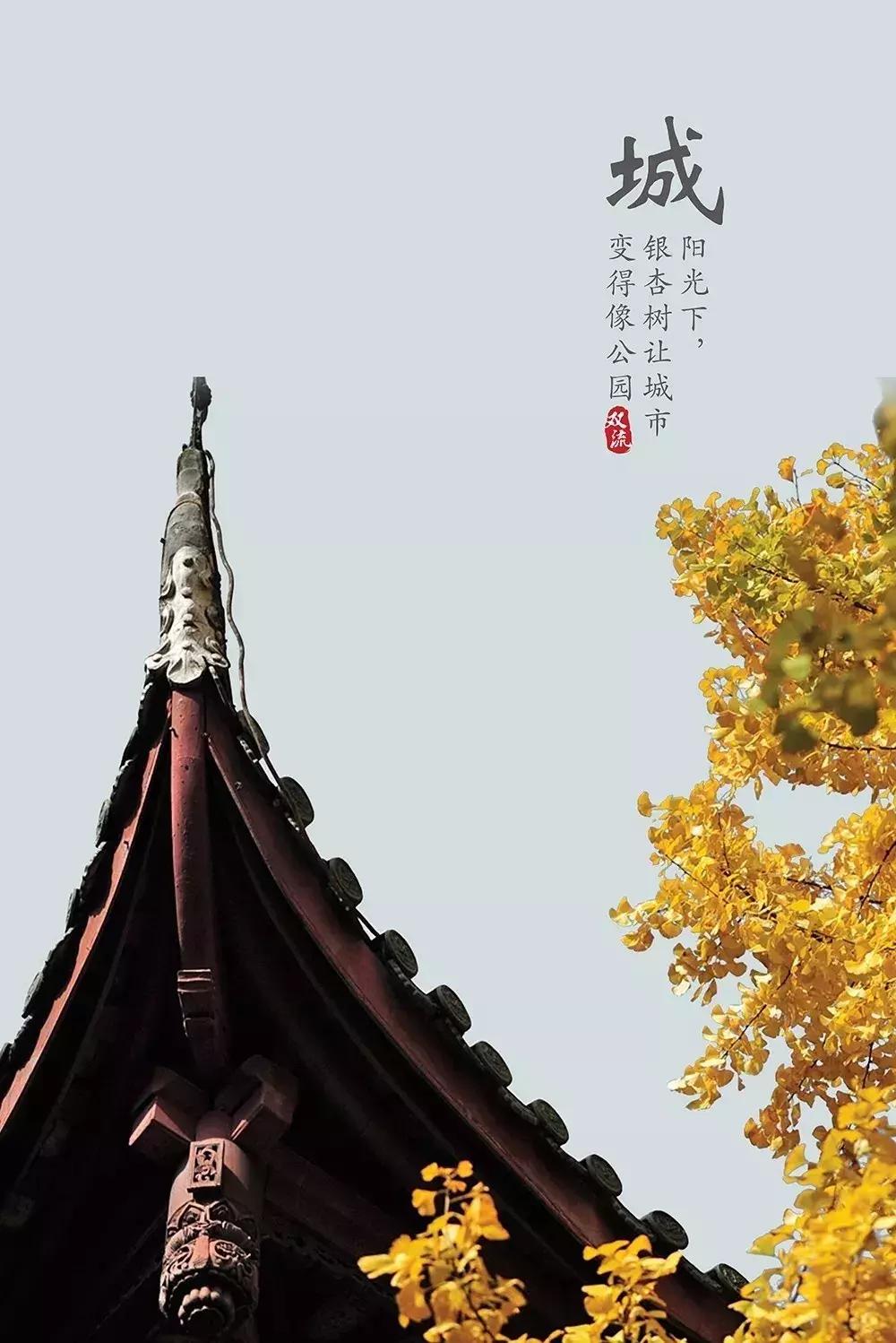 巴适自驾旅游攻略,巴适小众公园