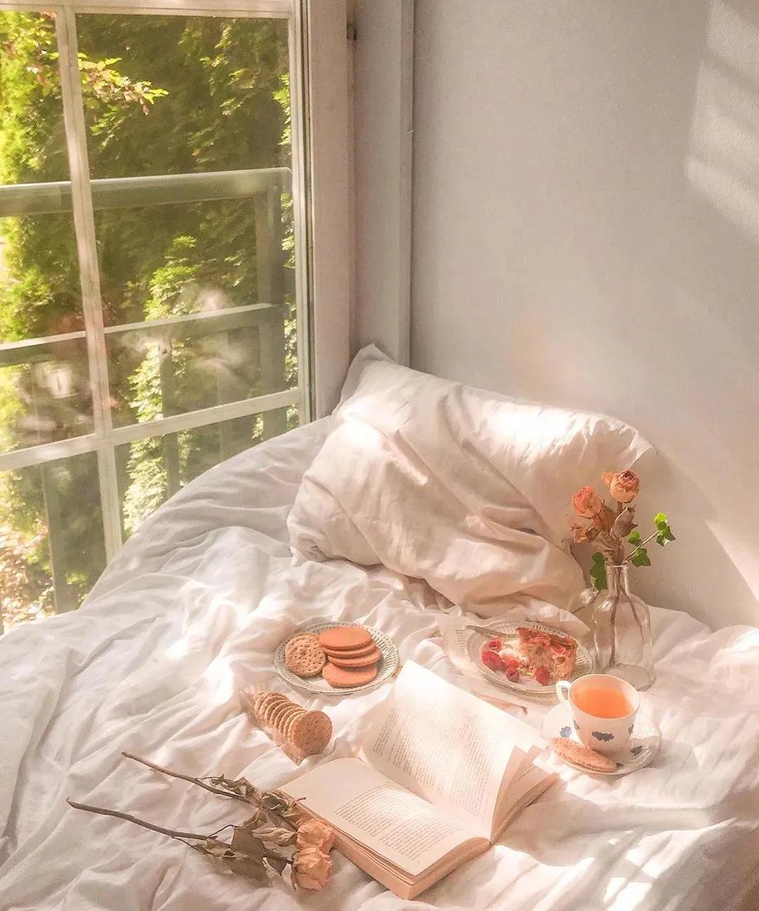 四年级我得到了什么的作文,四年级上册我得到了什么300字