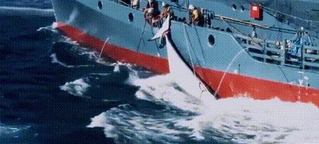 渔业危机纪录片,渔业阴谋纪录片预告