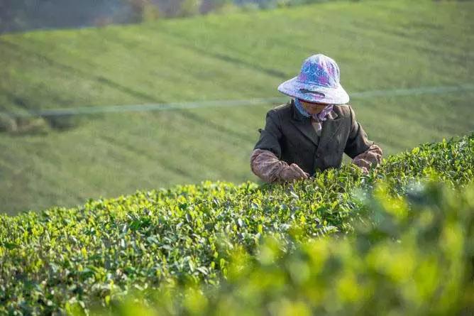 改革开放40周年有关英文视频,改革开放英语金句