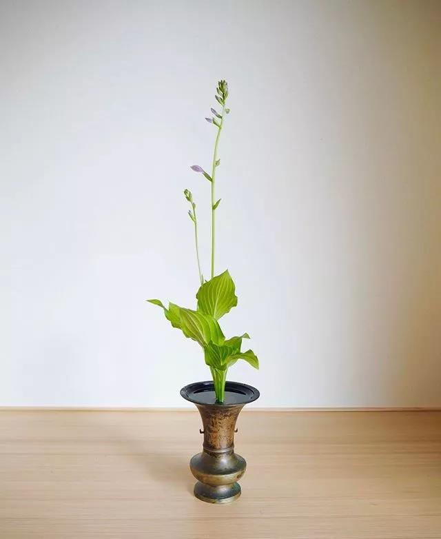 一花一世界一叶一菩提本来无一物,一花一世界一叶一菩提一场梦