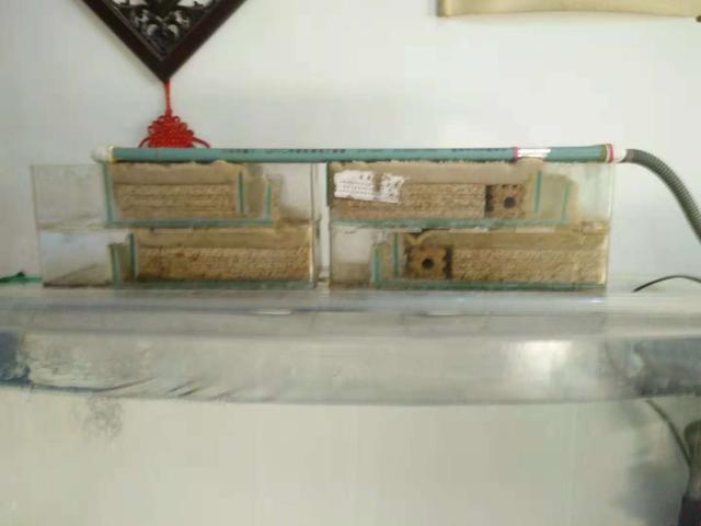 一个一米二的鱼缸需要多少滤材,1米8底滤鱼缸日常打理