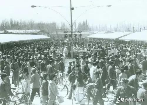 上榜啦！*疆新**鸟市和石市即将被国家命名！未来发展不可估量