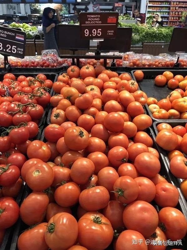 迪拜物价有多高,迪拜物价咋样的