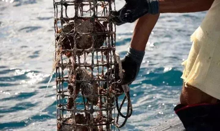 喜欢珍珠的女人是如何挑选珍珠的,珍珠怎么挑选佩戴