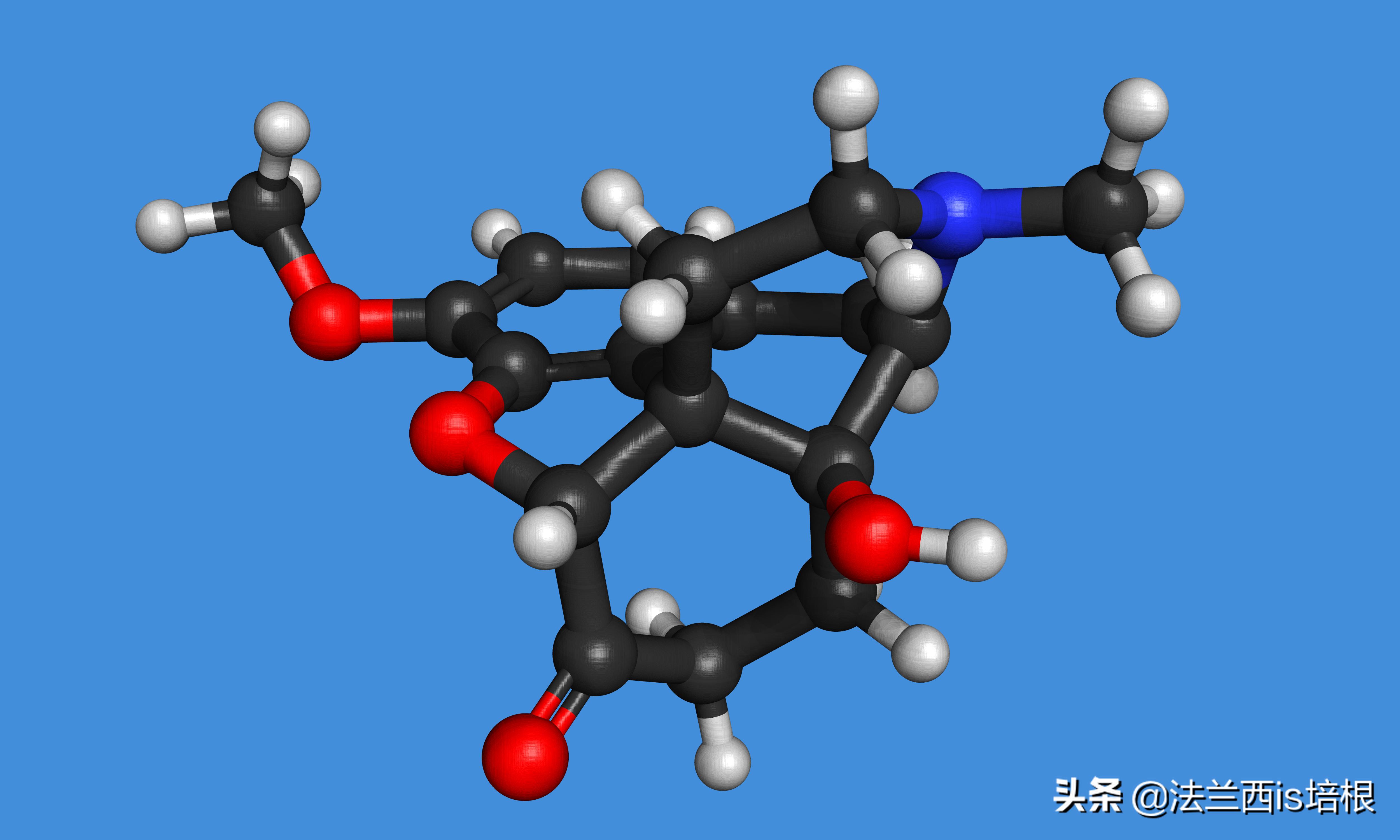 阿片类药物,*啡吗**、*洛因海**、奥施康定简史