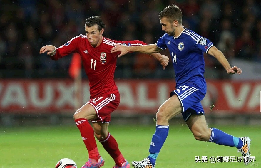 欧预赛芬兰vs波黑前瞻,欧洲杯点评芬兰vs波黑比分推荐