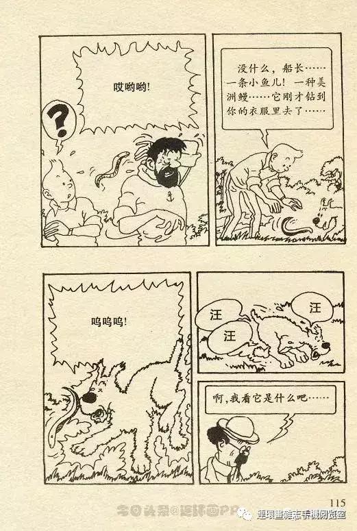 丁丁历险记之丁丁在刚果,丁丁历险记丁丁被石头绊倒