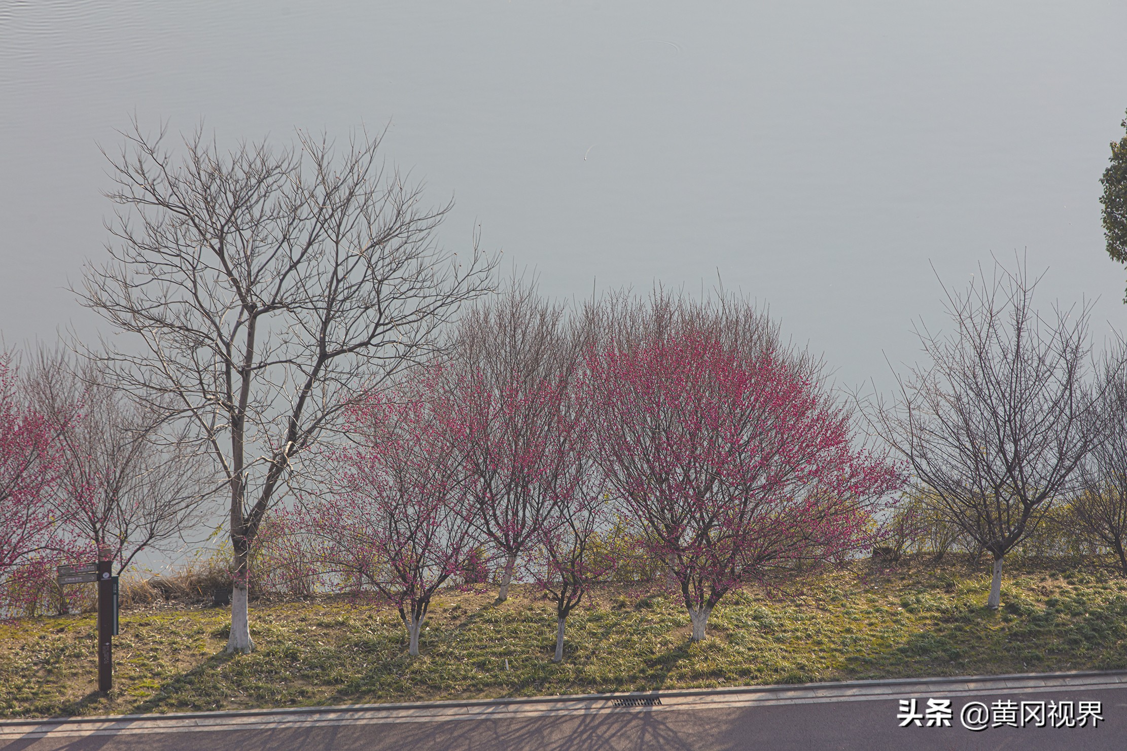 疫战日常,疫期日常