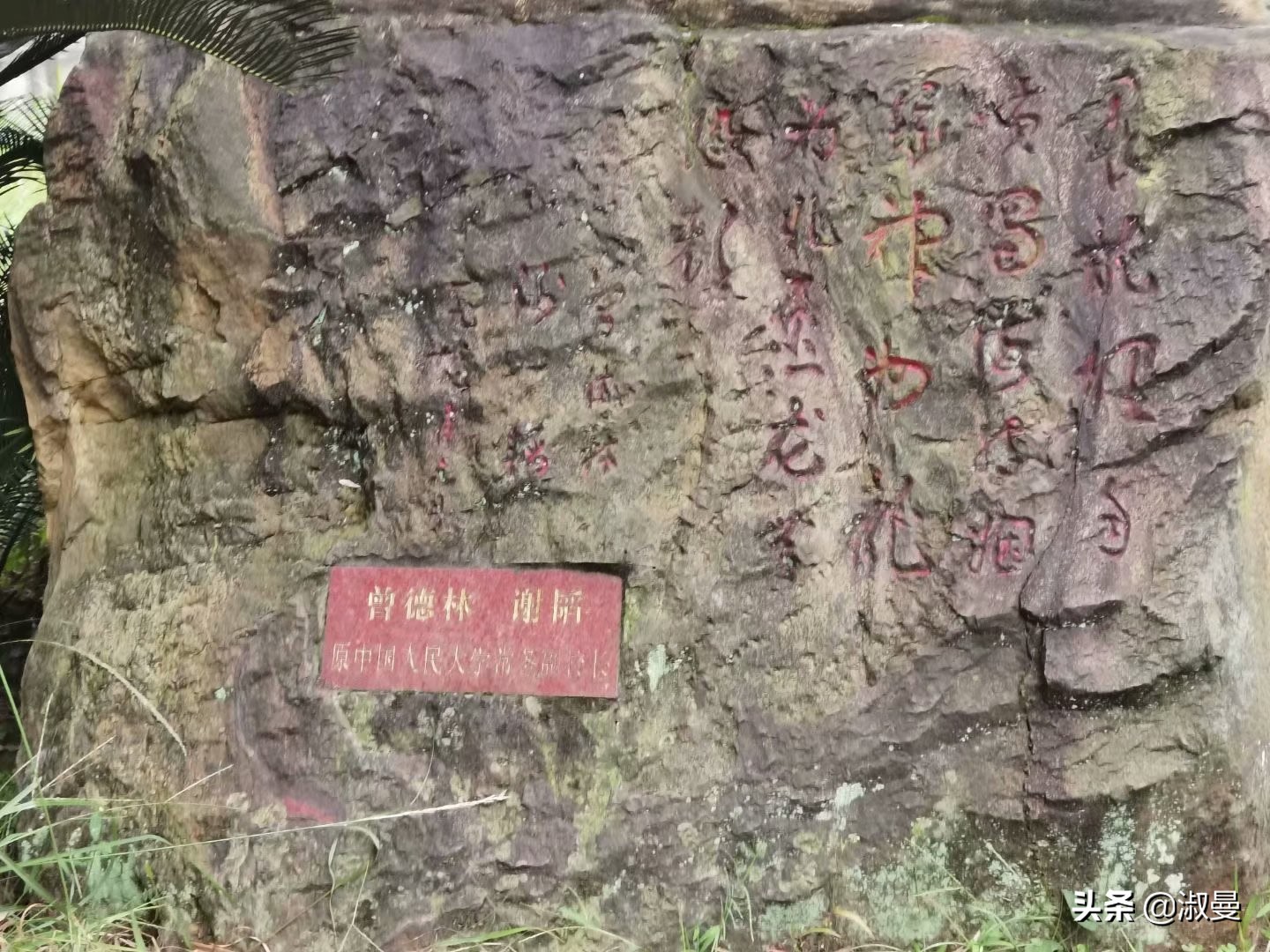 恐龙距今多少年前灭绝,恐龙灭绝前有人类吗