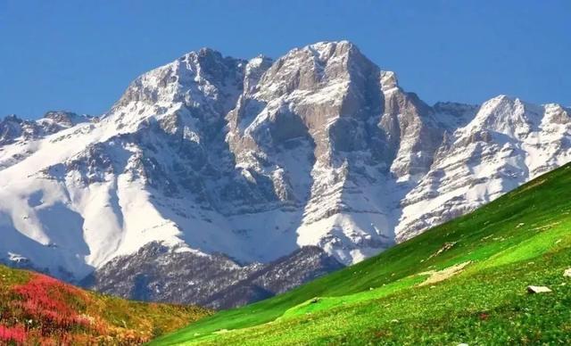 中国护照免签最新消息,中国护照免签2024汇总