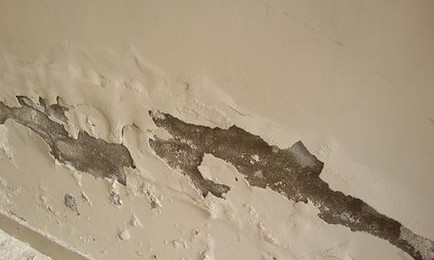 盖房子如何防止墙面返碱,农村房墙面返潮起碱是什么原因