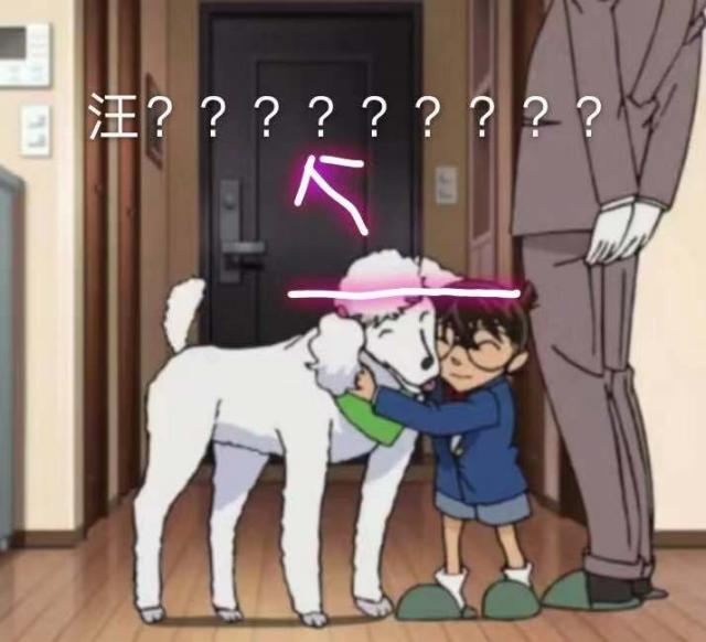 名侦探柯南中男角色的身高排名,名侦探柯南柯南的身高为啥这么低