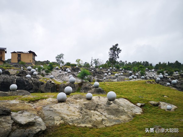 重庆这片花海你还没有来打开，那你就输了