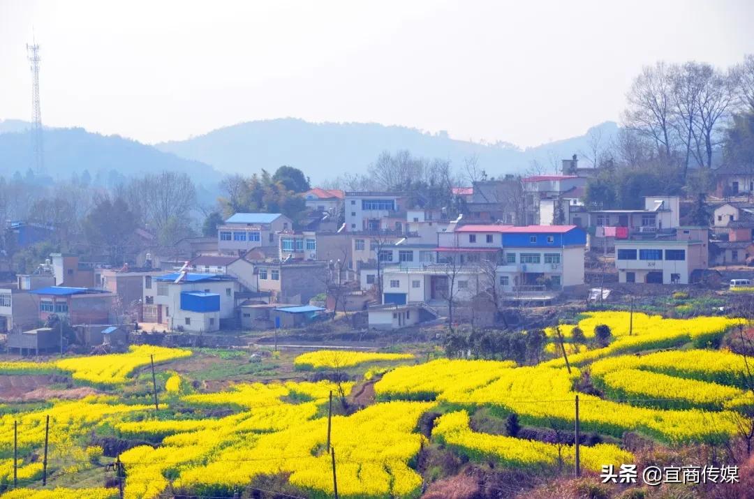 安庆特色地名,安庆地名