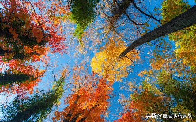 期货短线高手操作思路,期货日内短线冠军交易手法视频