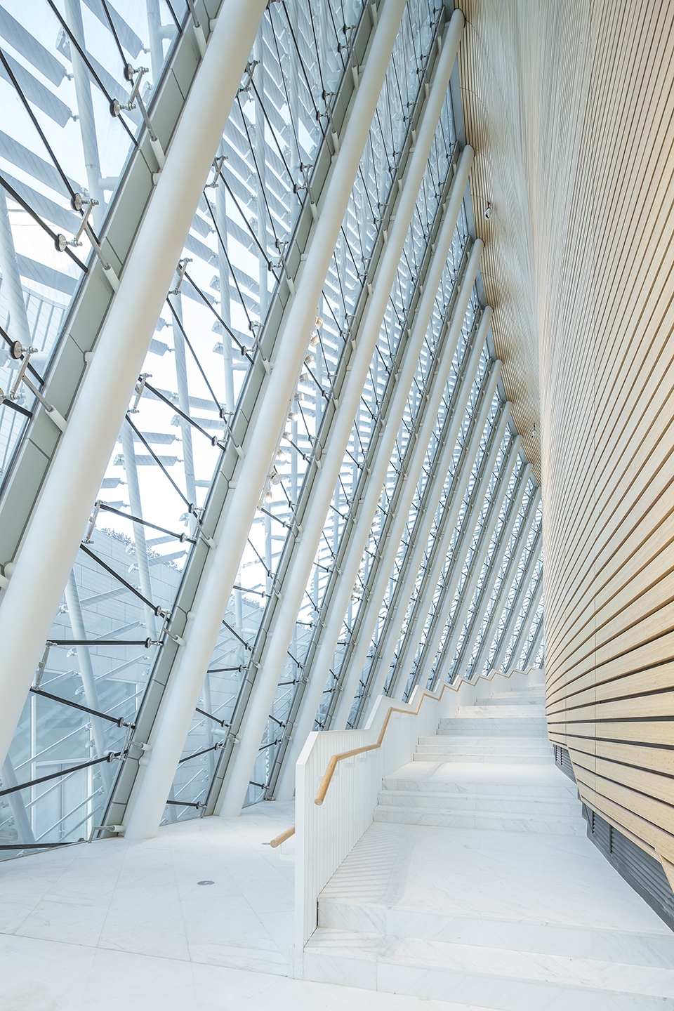 海峡艺术中心茉莉花,福州海峡文化艺术中心晚霞