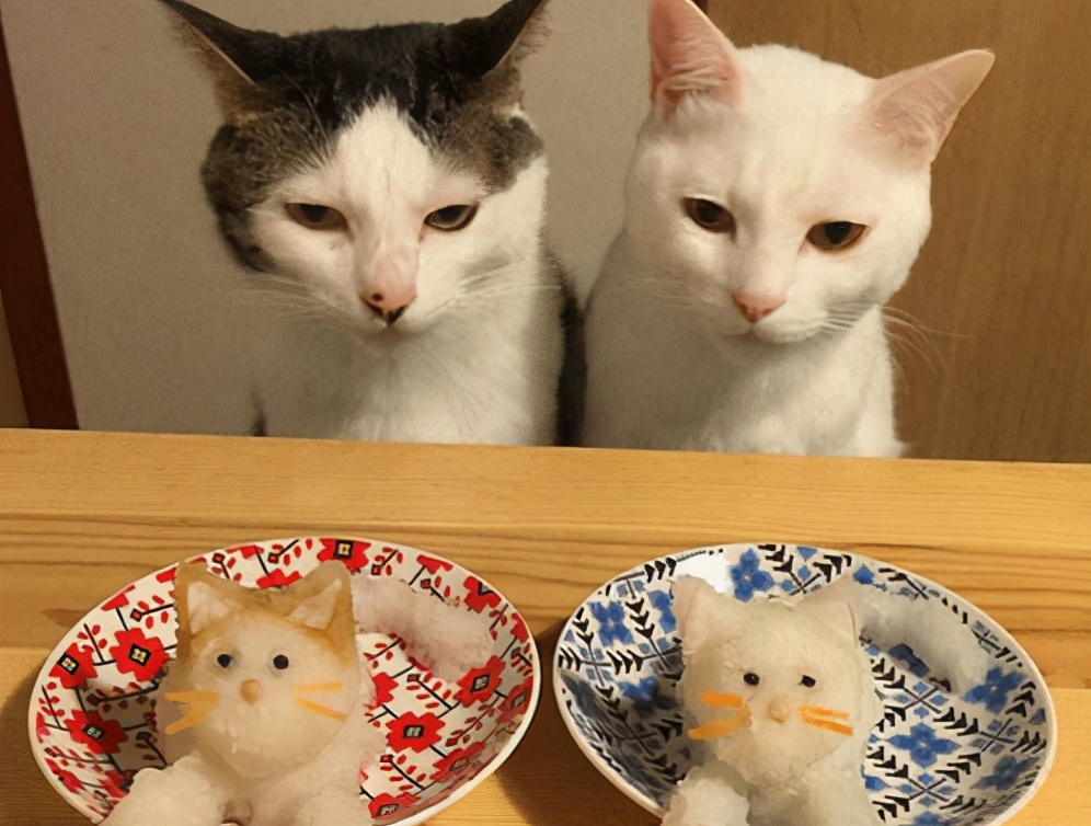 猫胃口不好吃猫粮糊糊行吗,猫胃口不好吃什么药能开胃