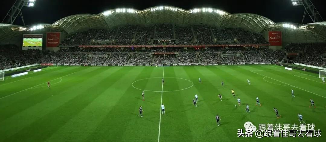 2023女足世界杯举办国家,2023女足世界杯举办