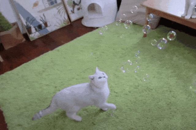 我们败了两款新型“猫*品毒**”孝敬主子，你猜哪种比较受猫欢迎？