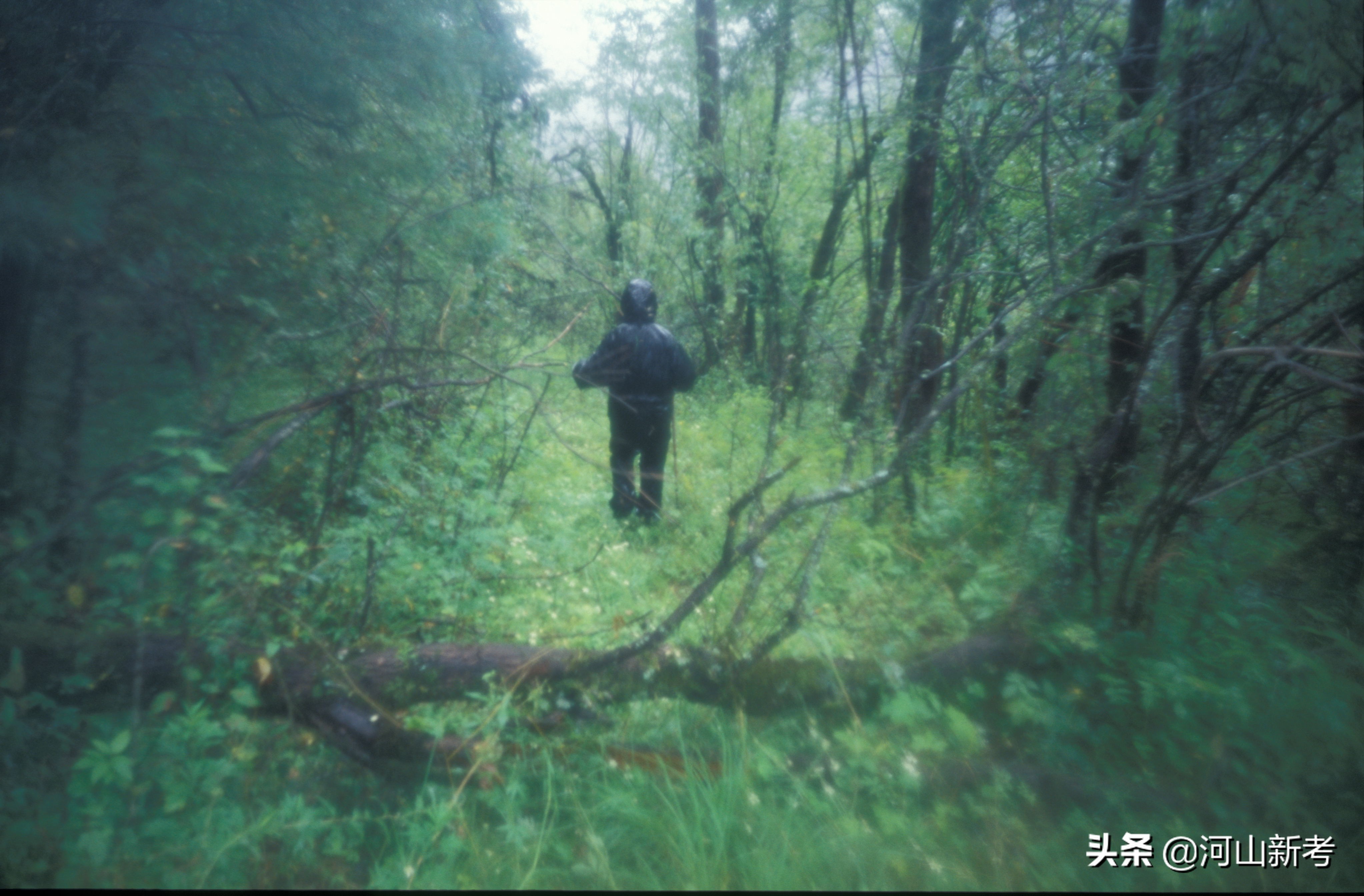 古栈道是如何修建的,古栈道是怎么建造的