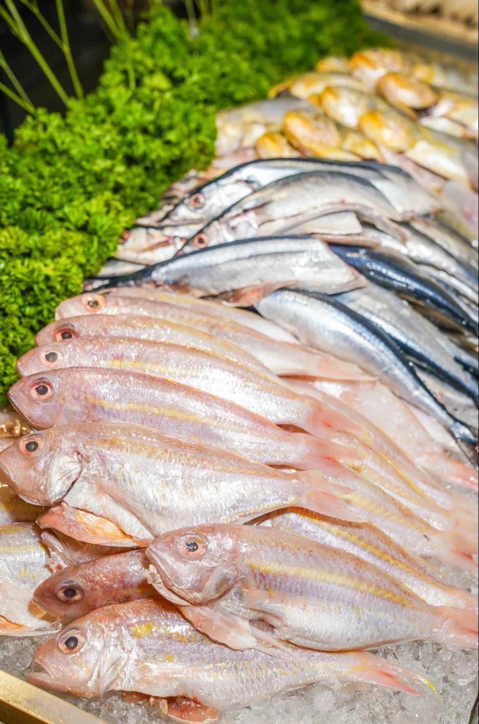 关注深圳东方银座美爵酒店,深圳东方银座美爵酒店的宴会