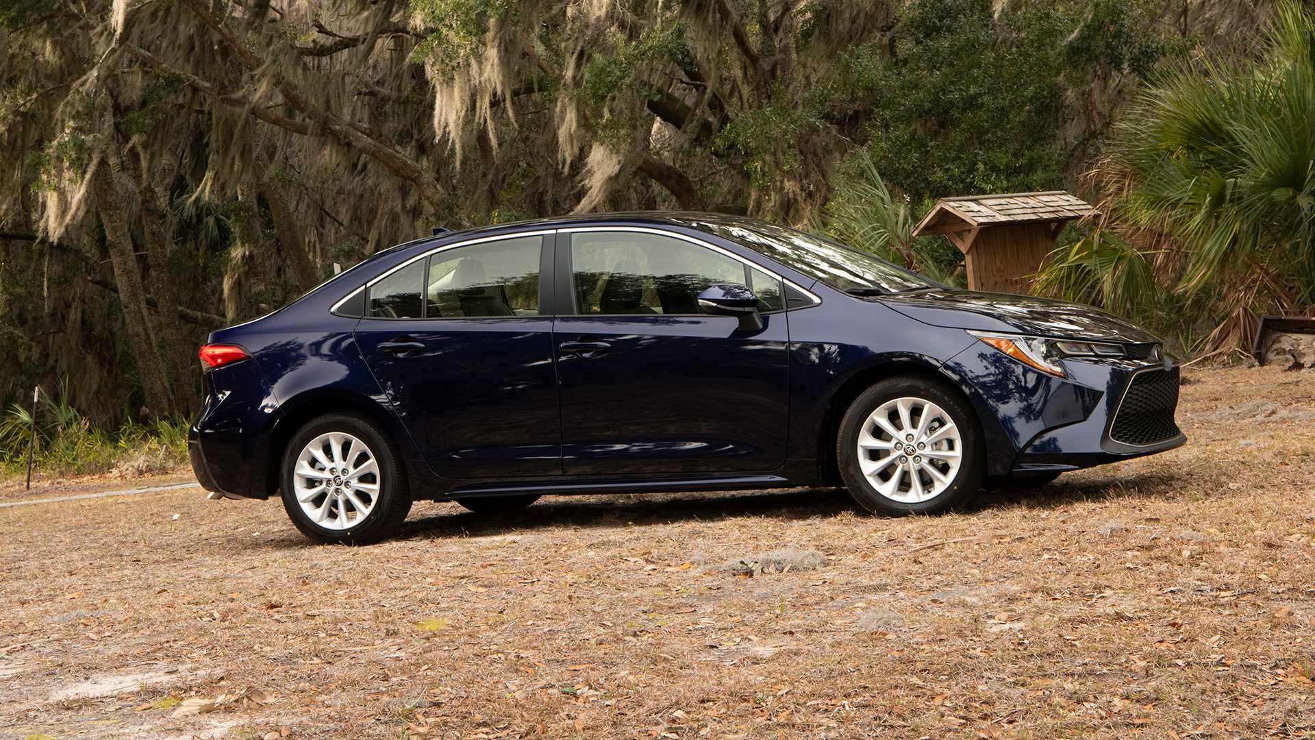 信心爆棚,丰田美国版本卡罗拉