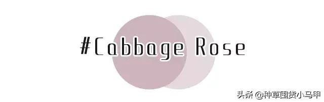 售卖假货引众怒,专柜售假