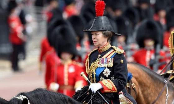 叛逆公主安妮海瑟薇,英国王室公主安妮卡米拉