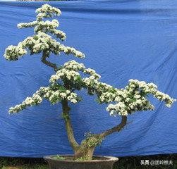 创业小项目获得资源,创业项目可以利用的资源