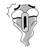 猫癣经历,猫癣的形成原因与治疗方法